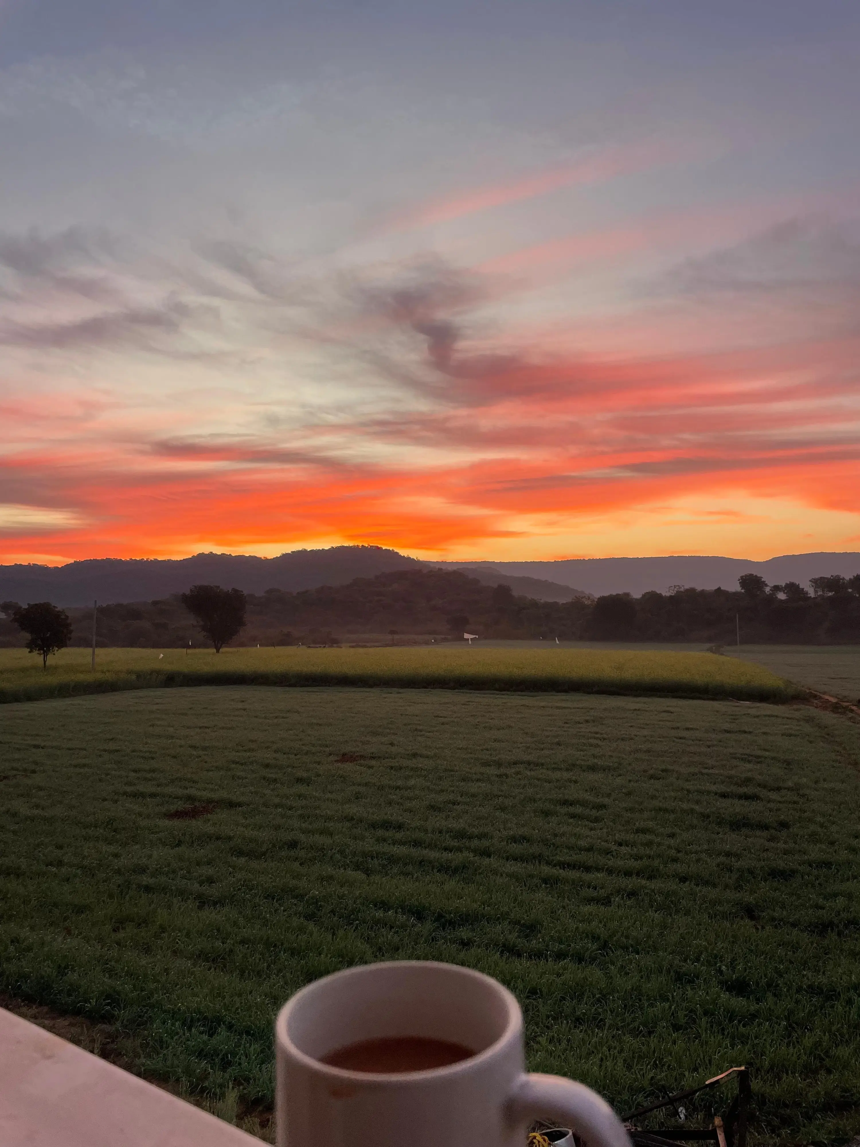 Outdoor dining and slow living experiences